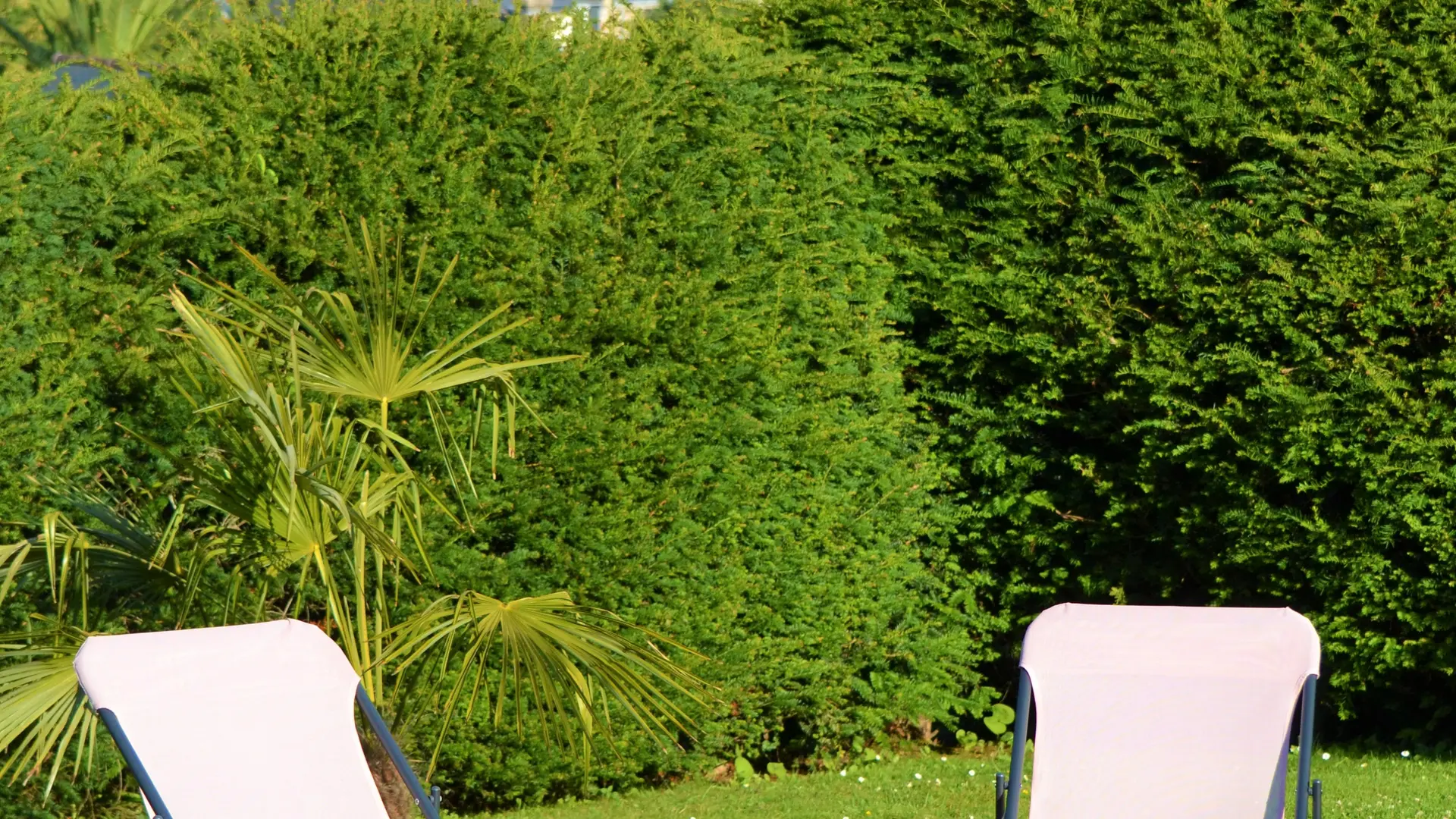 MARIPOZ - Décembre 2021 - Remplacement - Photo #6 sur site _ Chaises longues et port de plaisance