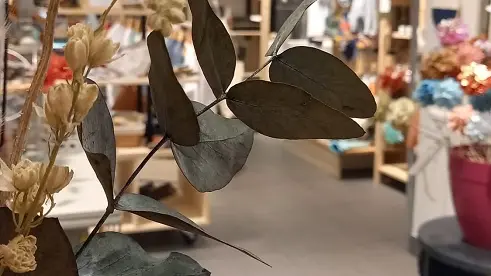 Commerce-Mille Facettes-Saint-Malo