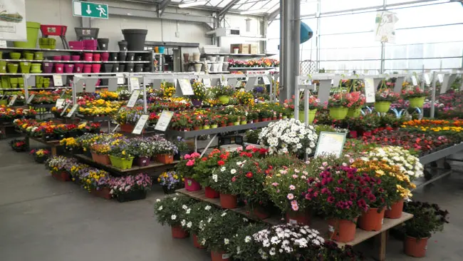 Magasin-vert-pont-l-abbe-01