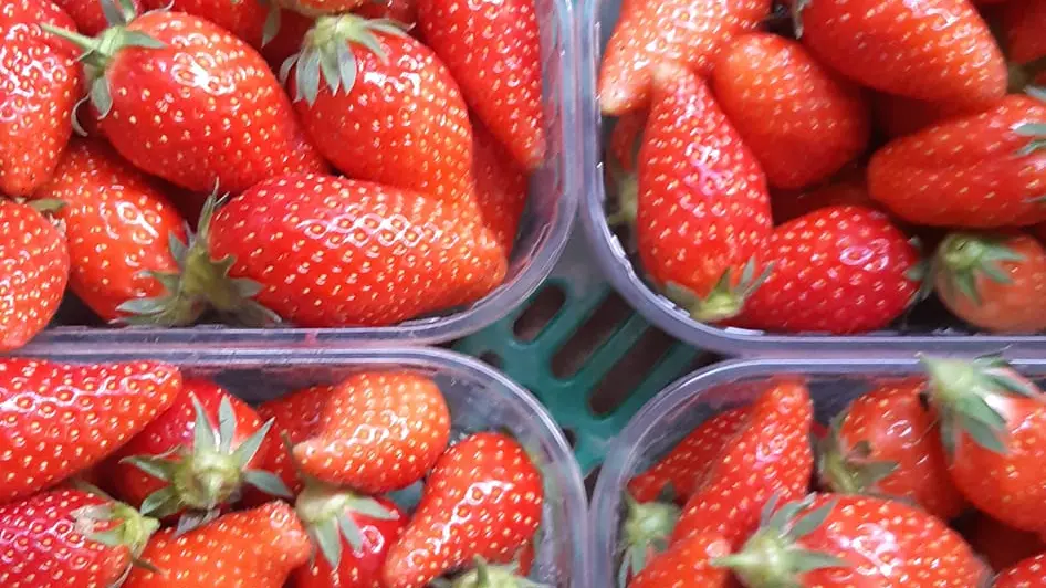Marché paysan à la ferme du wern - fraise