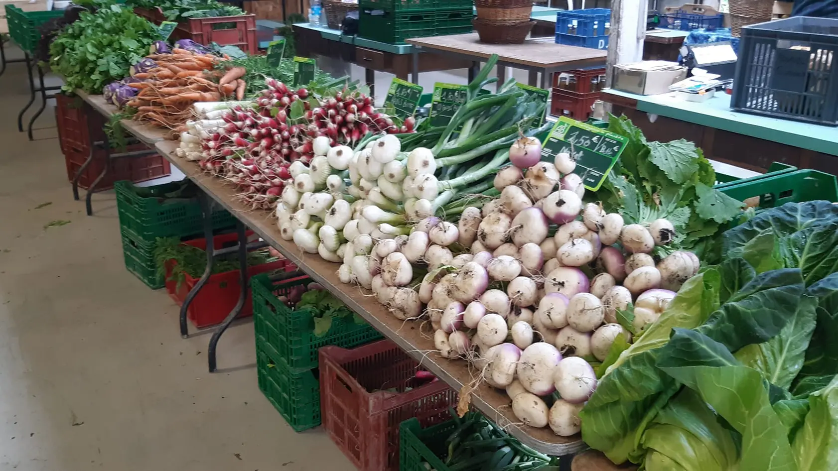 Marché paysan à la ferme du wern - légumes