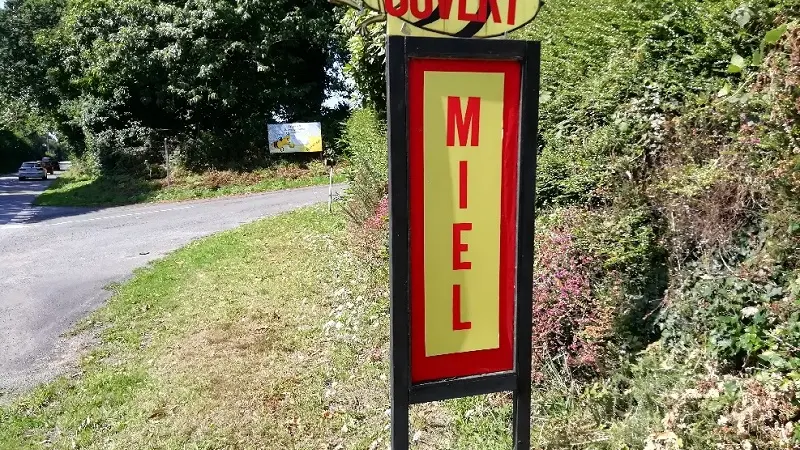 Miellerie de PSG  - plogastel st germain 2