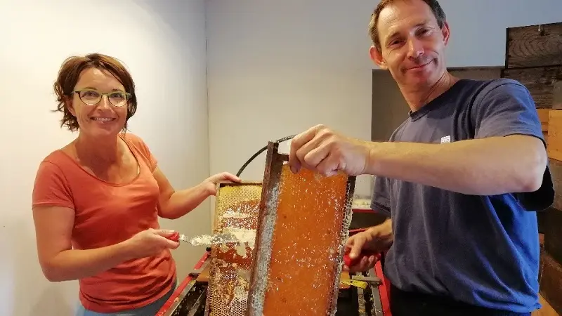 Miellerie de PSG - plogastel st germain  3