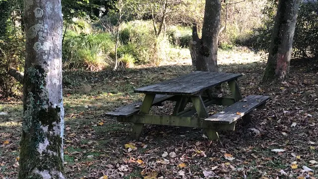 Milin Saez Ouest 2024