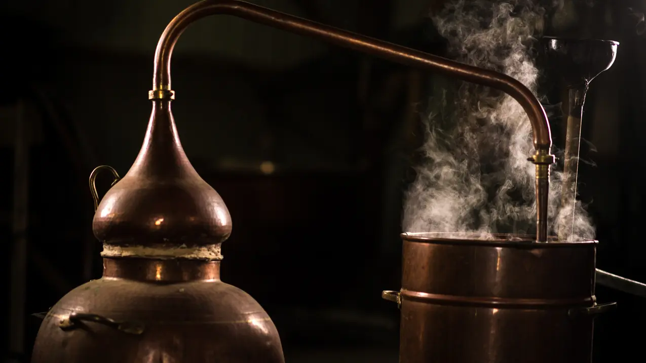 Distillerie Moby Dick à Plogoff