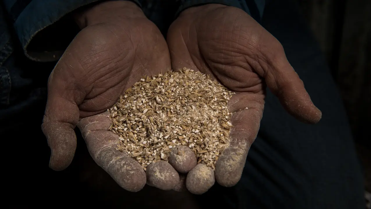 Distillerie Moby Dick à Plogoff