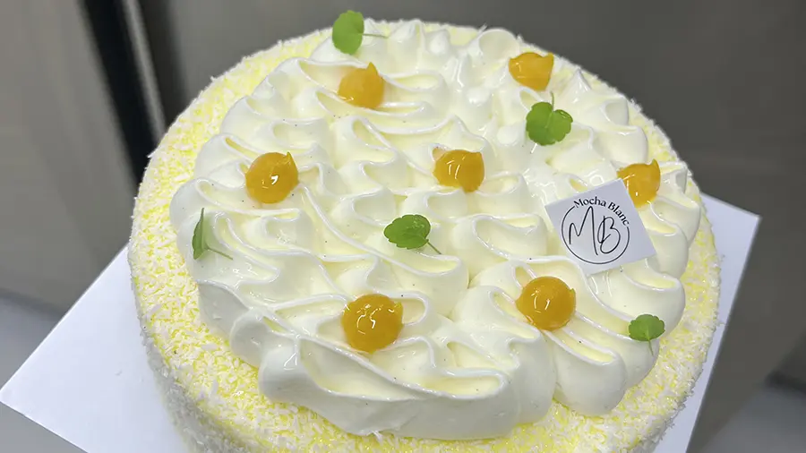 Mocha Blanc - Pont-l'Abbé 6Pays Bigouden - 10