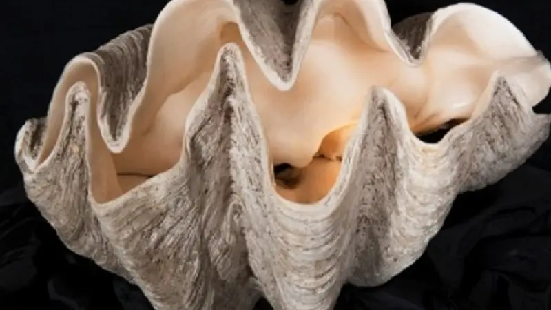 Musée de l'Amiral - Pouldreuzic - Pays Bigouden