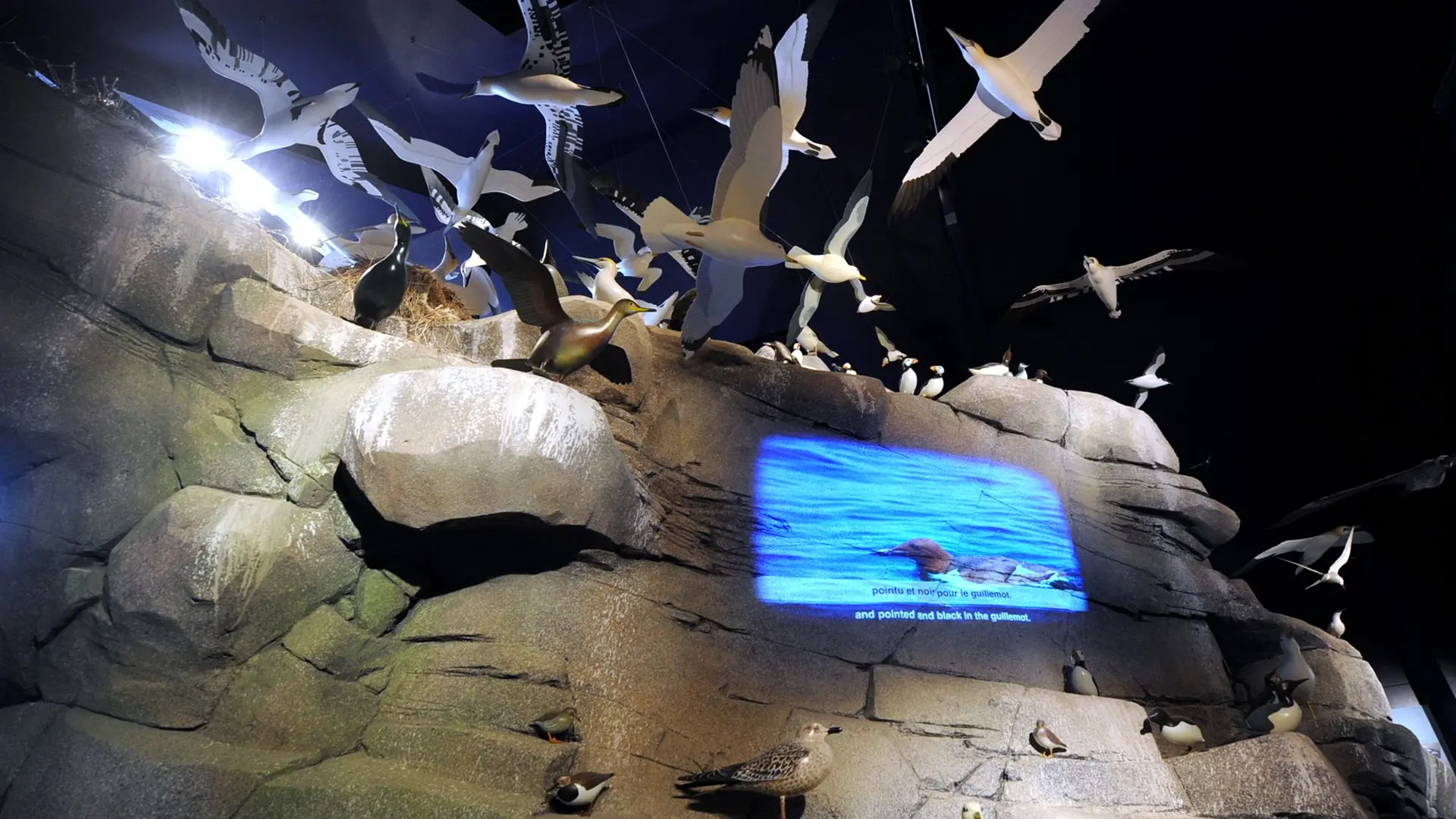 Musée Station LPO 2