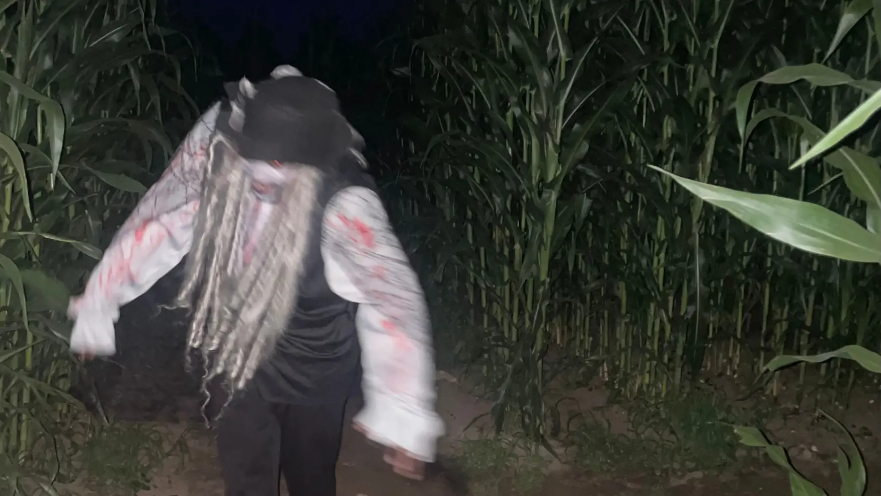 NUIT DE L'HORREUR _ LABYRINTHE ST-MALO