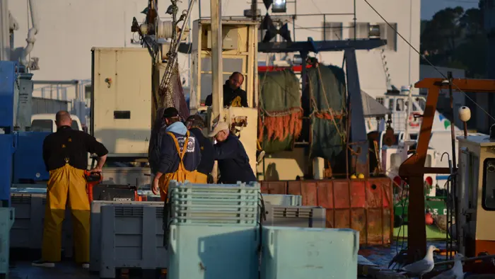 OTDZ - Douarnenez Port de pêche visite guidée - 11-07-2013 (42)