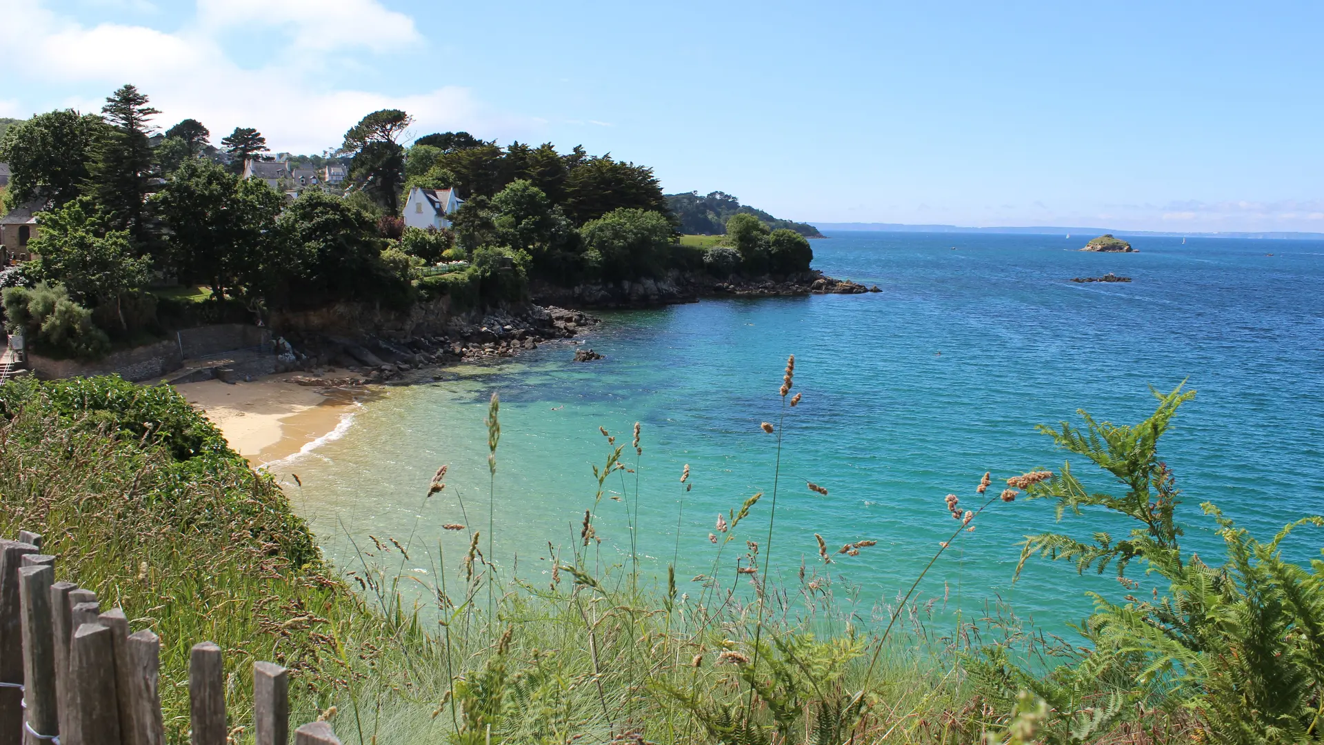 OTDZ - LS - 2021 06 10 Plage Saint Jean (2)