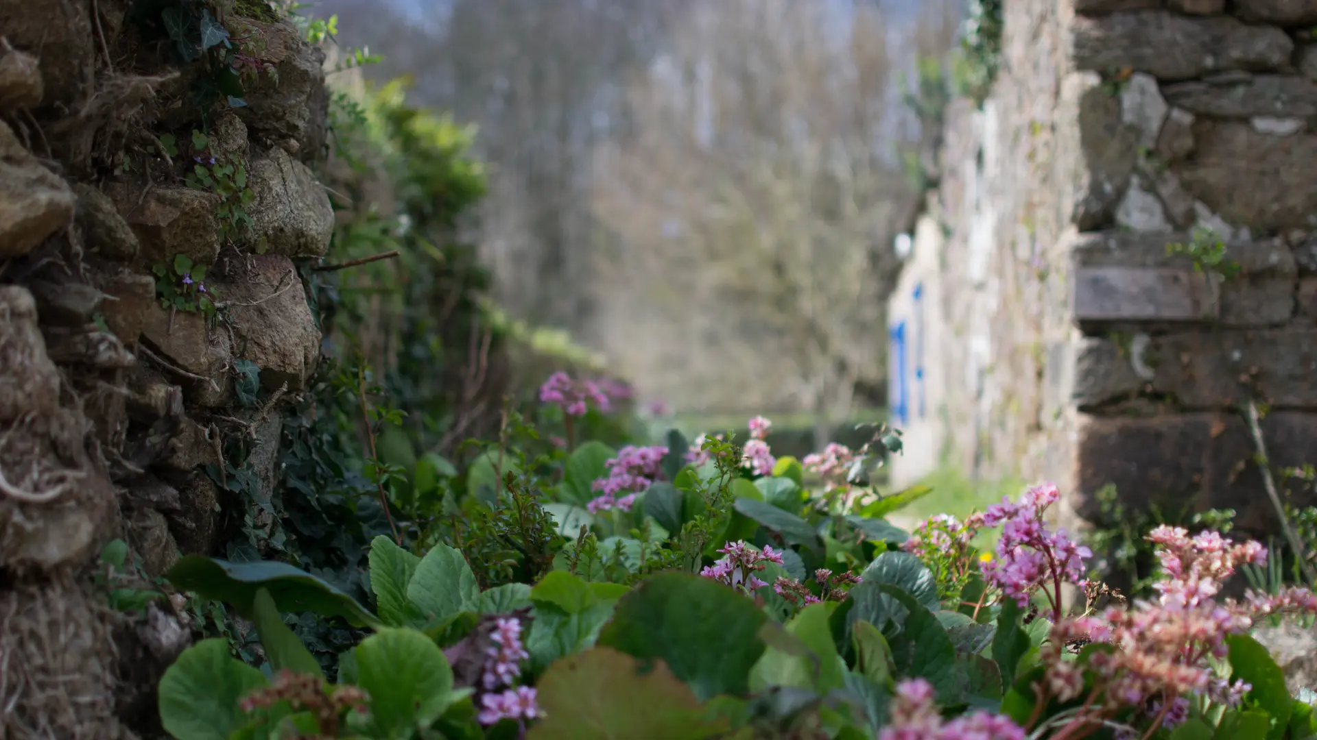 Gite Municipal des Plomarc'h