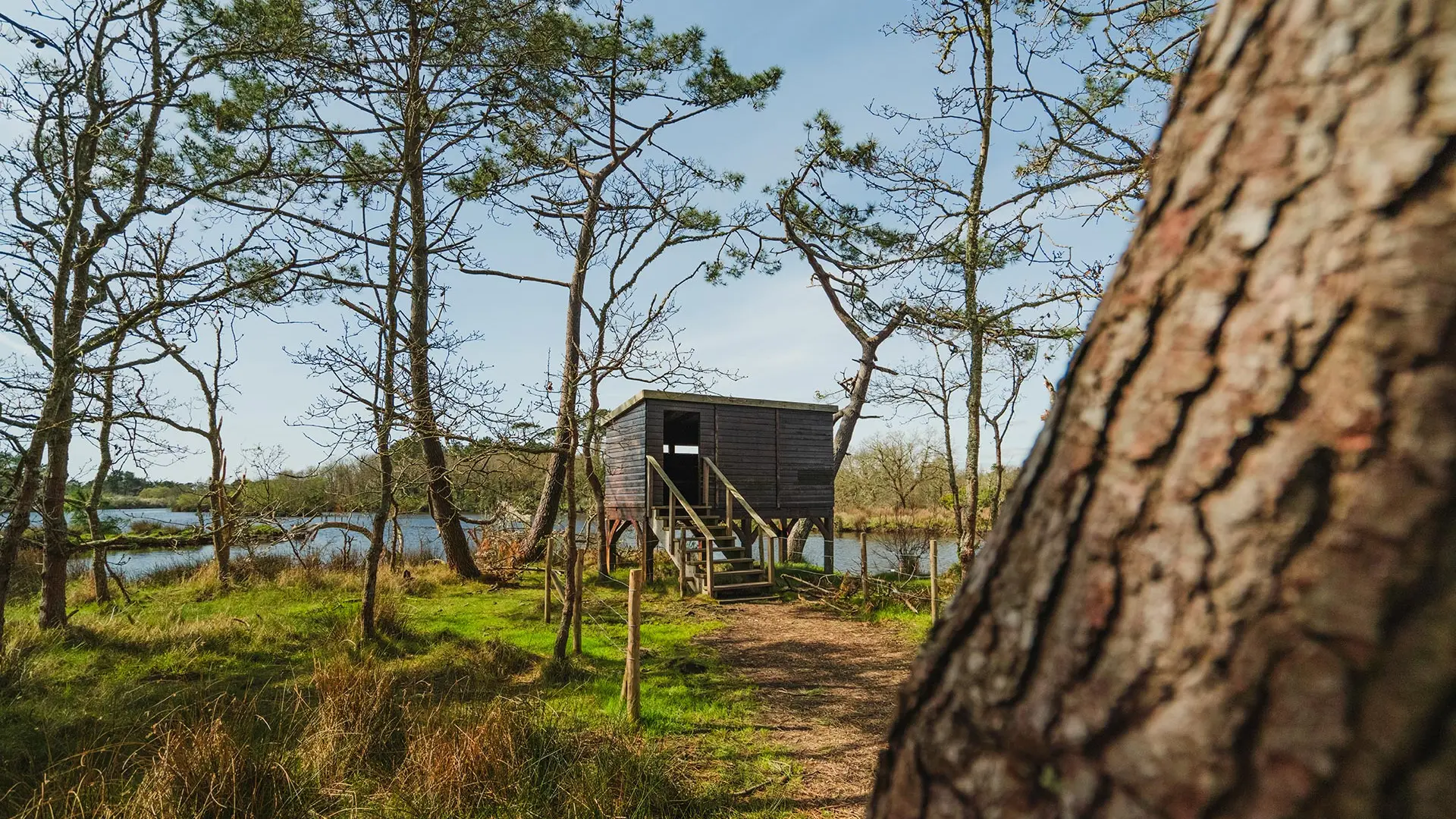 Observatoire-à-oiseaux-dans-le-marais-de-Mousterlin-à-Fouesnant