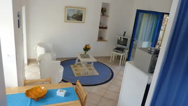 Run ar Marec myosotis 5