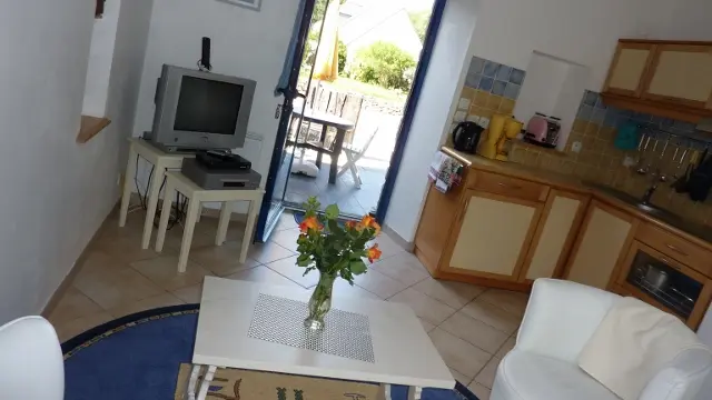 Run ar Marec myosotis 6