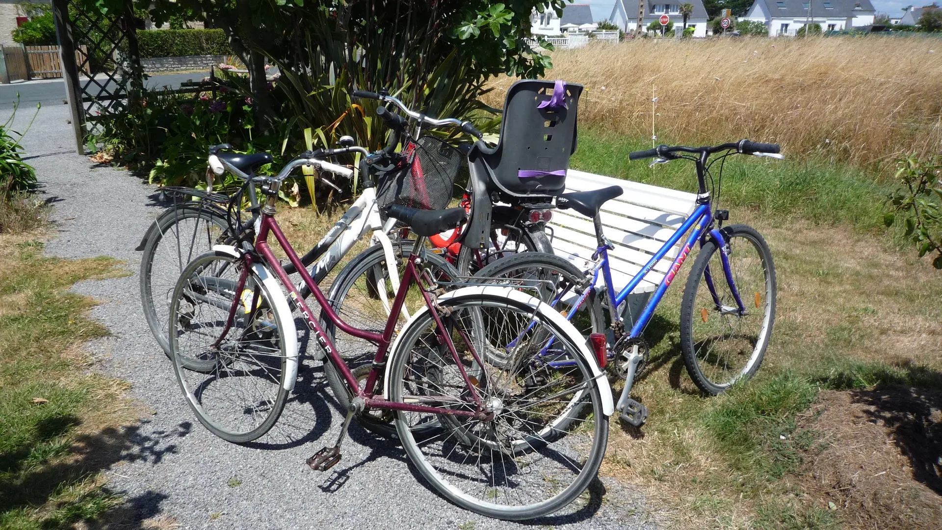 LE BRAS Francis - Penmarch - Pays-bigouden