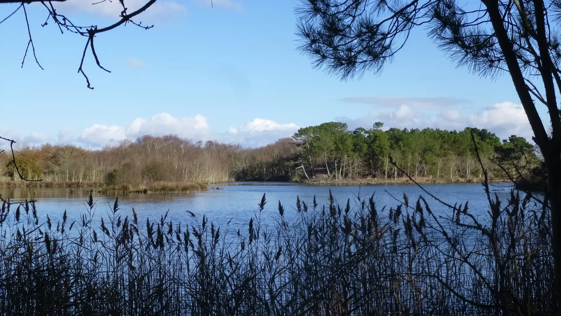 Marais de Mousterlin 4