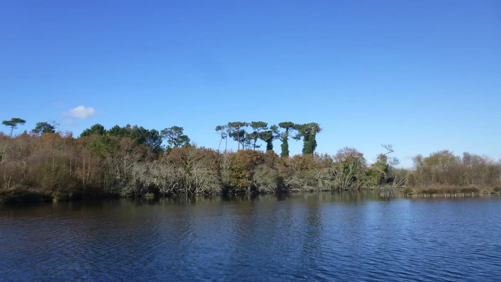 Marais de Mousterlin 1