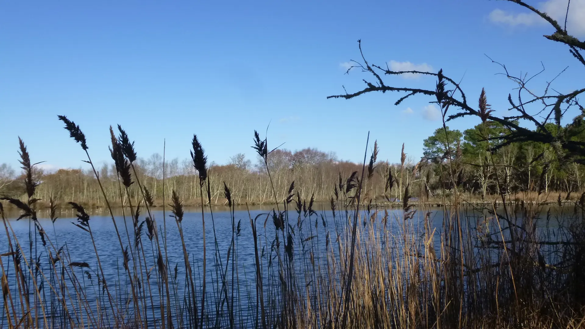 Marais de Mousterlin 2