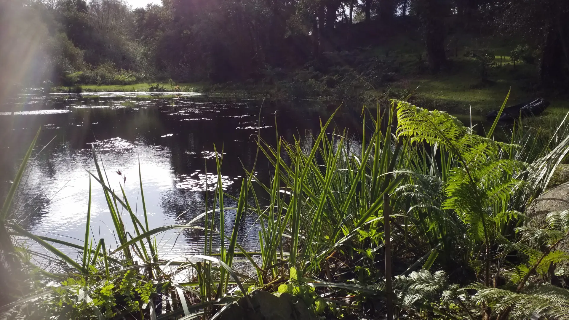 LA_VALLEE_DES_BAMBOUS_Plougonver