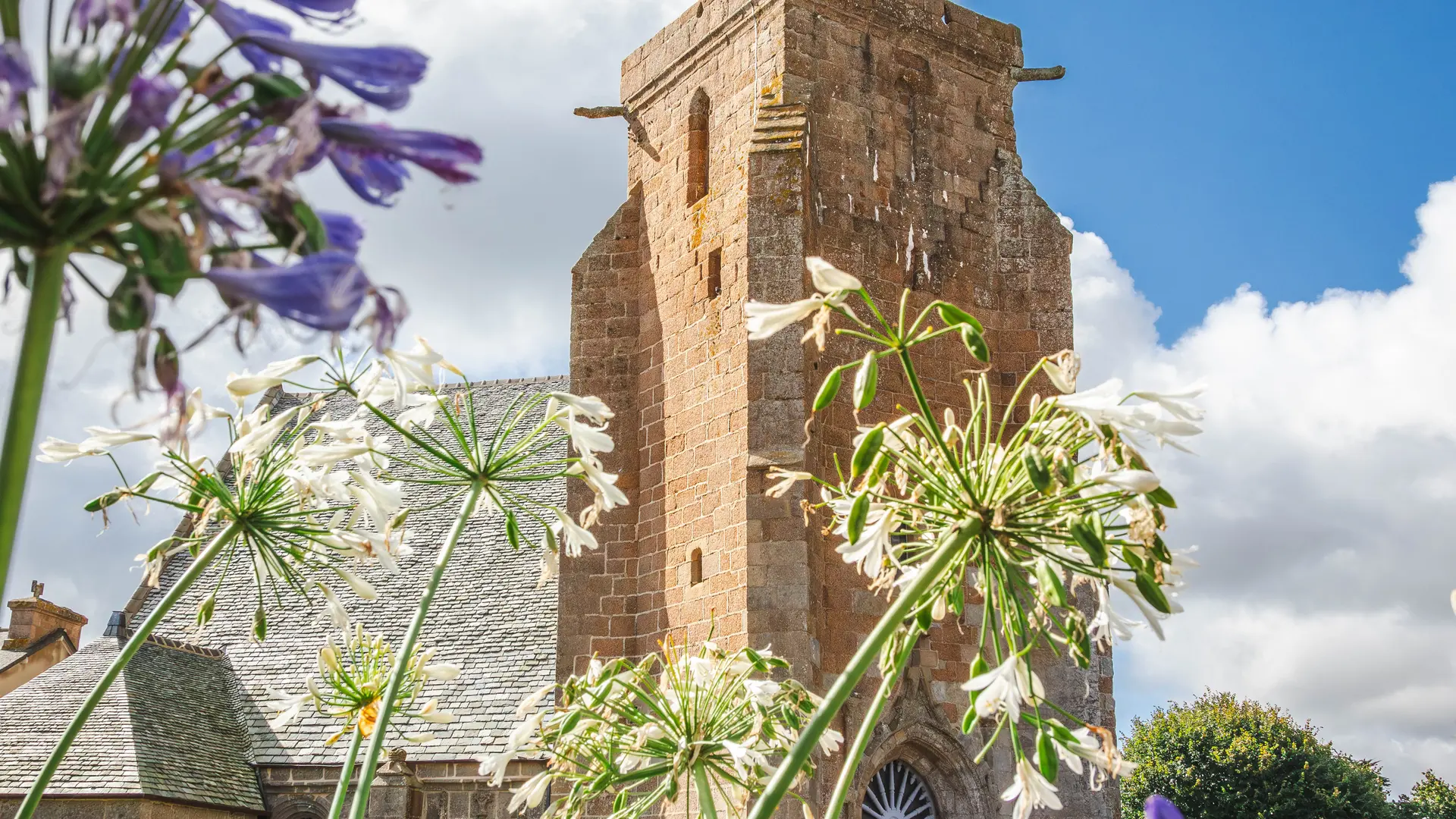 PARDON DE LA CLARTE @chimair (13)