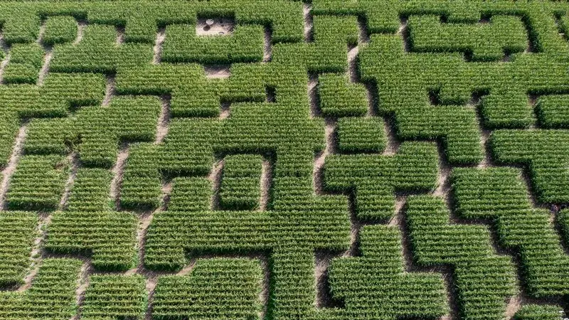 Pop Corn Labyrinthe - Pont-l'Abbé - Pays Bigouden - Bigoudenjoy