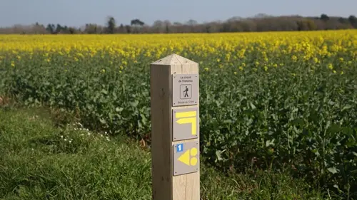 Circuit de Tréminou - Plomeur - Pays Bigouden