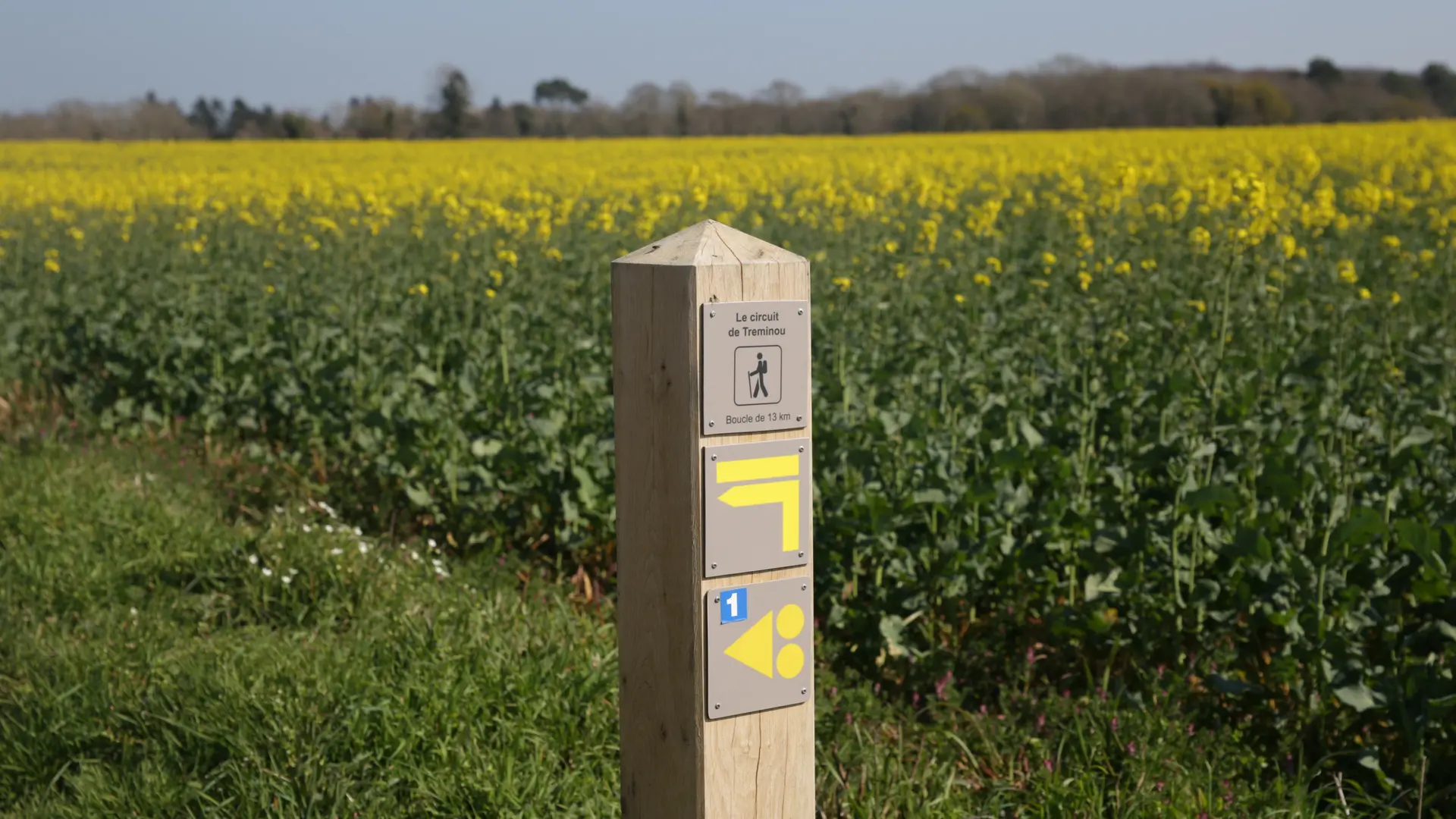 Circuit de Tréminou - Plomeur - Pays Bigouden