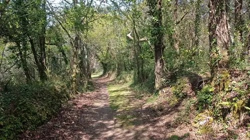 Circuit de Tréminou - Plomeur - Pays Bigouden