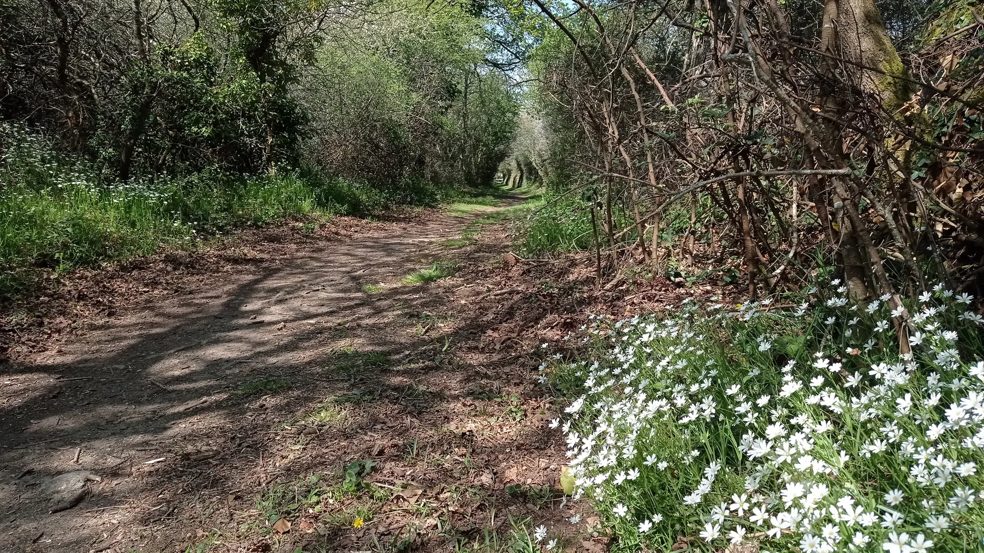 Circuit de Tréminou - Plomeur - Pays Bigouden
