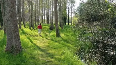 Boucle VTT n°1 La Pointe de la Torche - Plomeur - Pays Bigouden