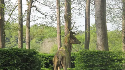 Parc_Chateau_de_Rosanbo_01