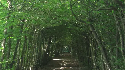 Parc_Chateau_de_Rosanbo_02