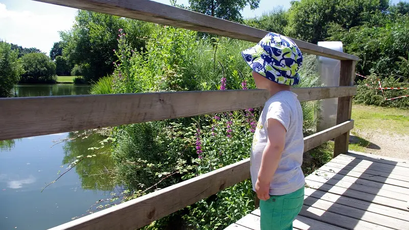 Parc Raphalen - Ploneour-Lanvern-Pays Bigouden-3