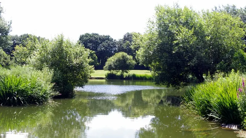 Parc Raphalen - Ploneour-Lanvern-Pays Bigouden