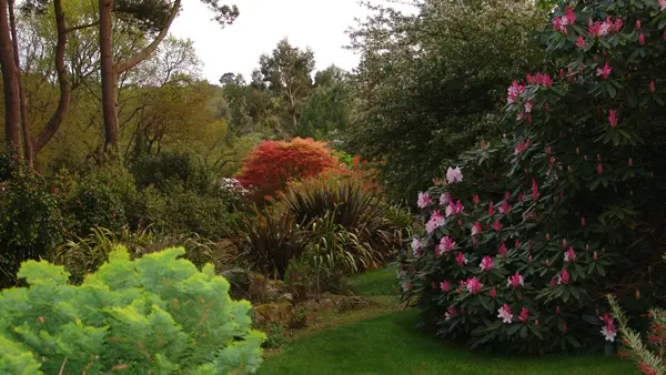 Parc Botanique de Cornouaille et musée des minéraux