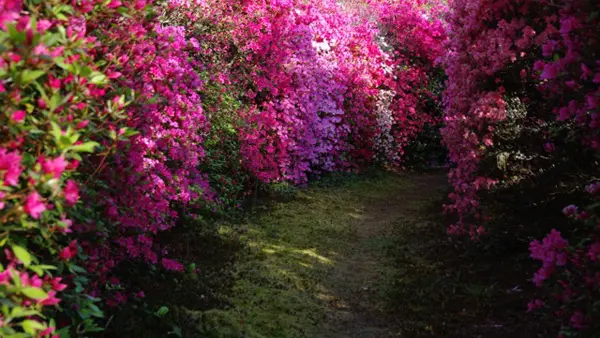 Parc de Boutiguery4