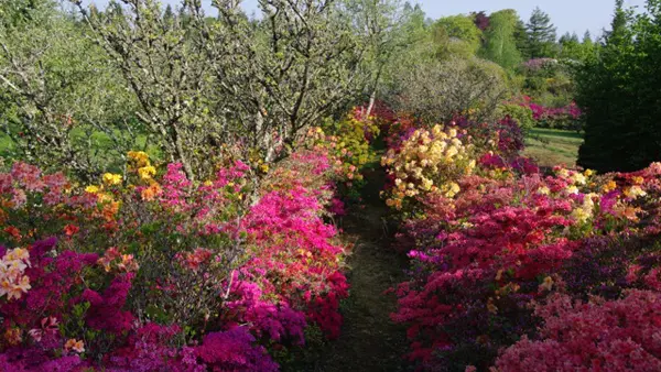 Parc de Boutiguery5