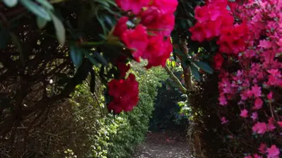 Parc de Boutiguery6