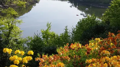 Parc de Boutiguery11