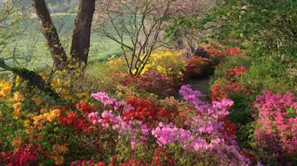 Parc de Boutiguery2