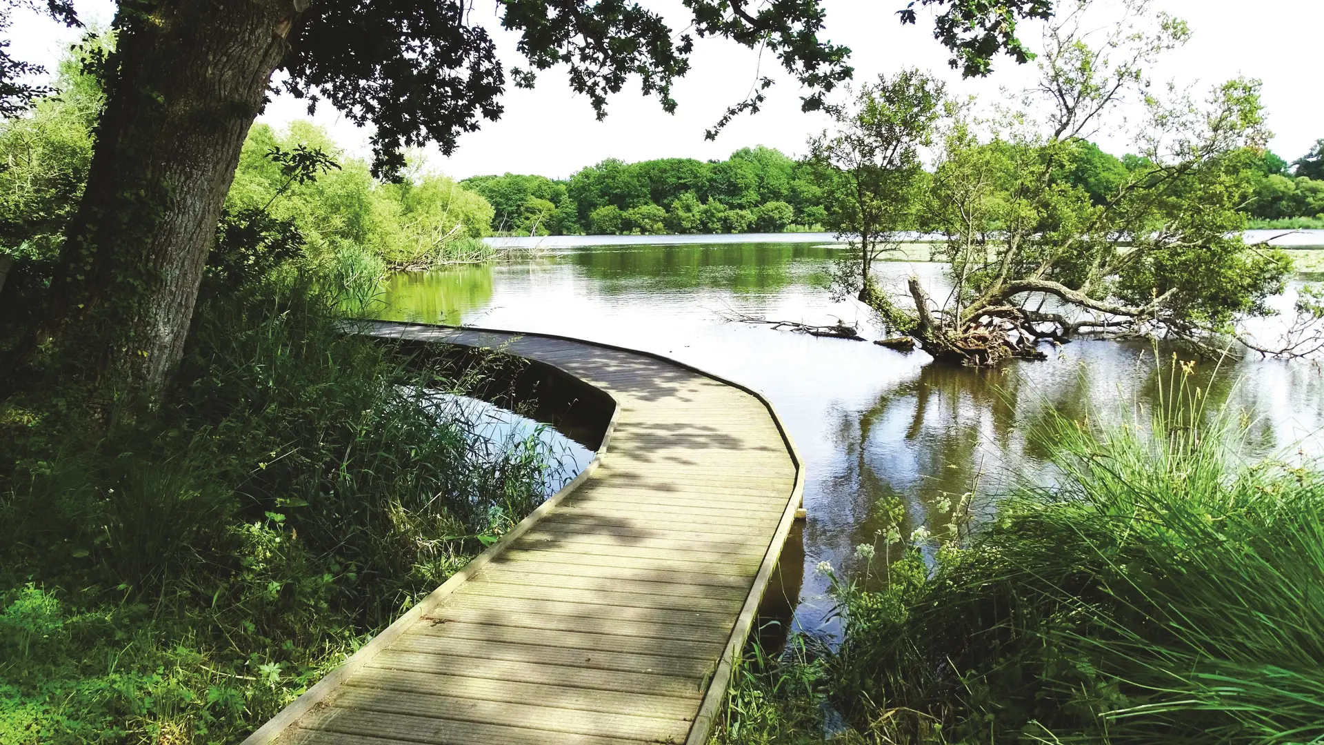 Passerelle Lac Tranquille ©Clémentine LALLEMENT 2030