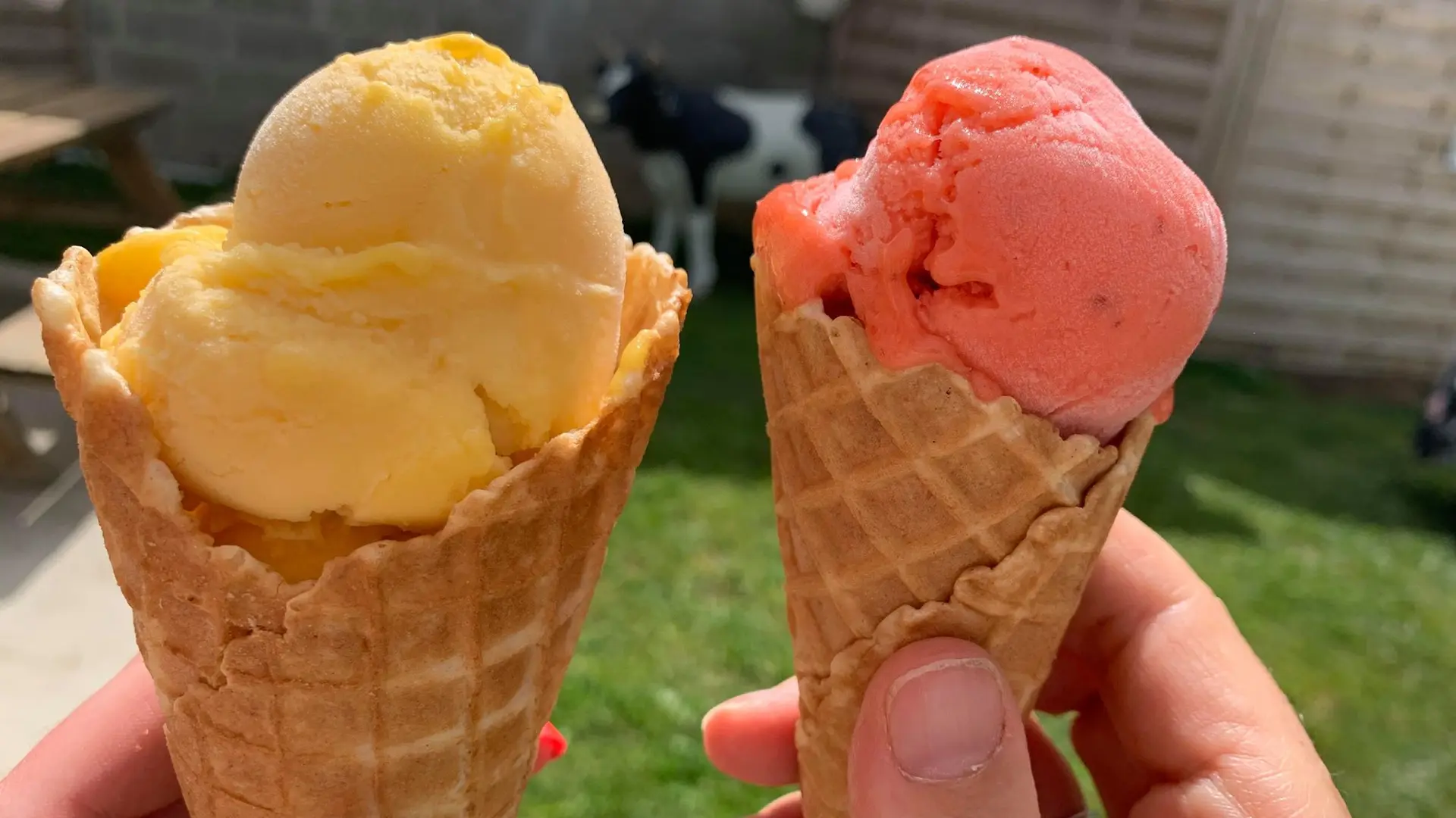 Glace de Pendreo - Plogastel Saint Germain - Pays Bigouden