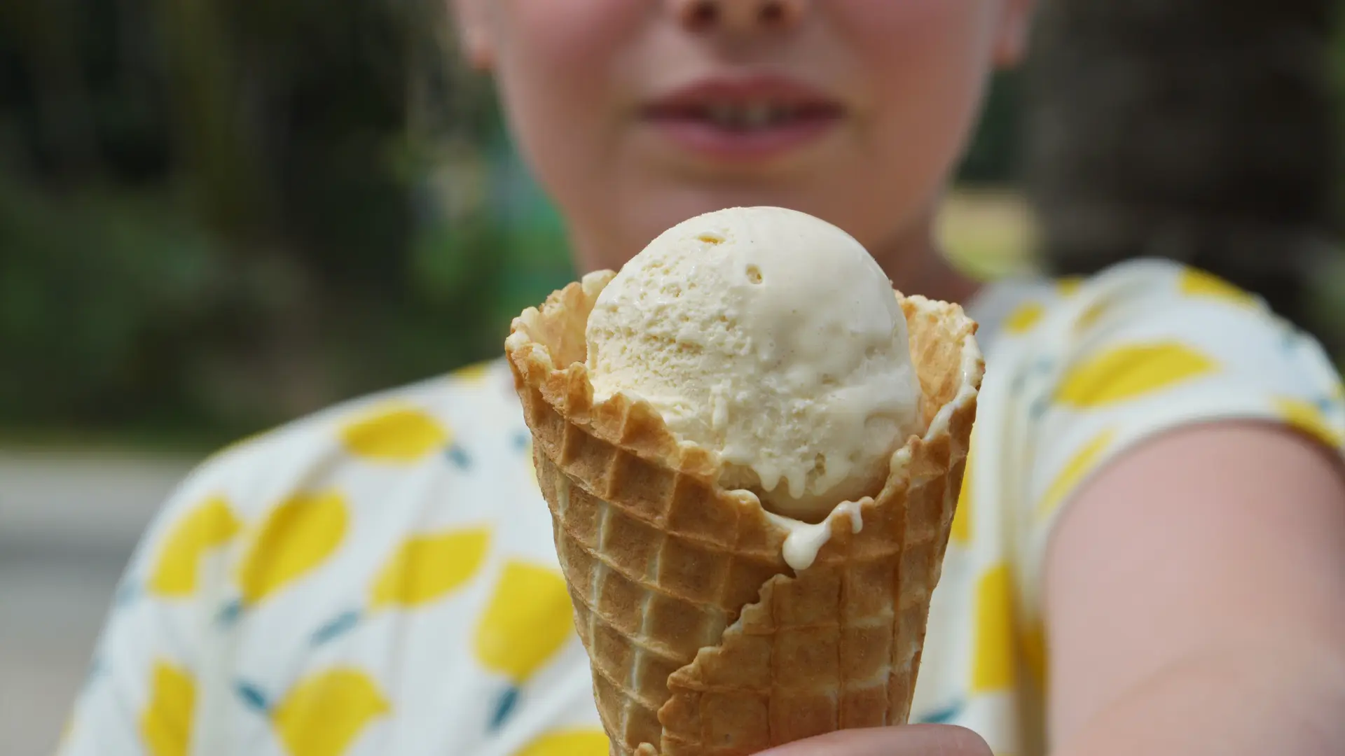 Glace de Pendreo - Plogastel Saint Germain - Pays Bigouden