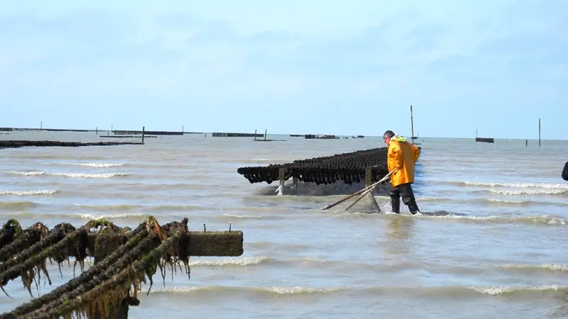 Pêche en Baie - ©Train Marin