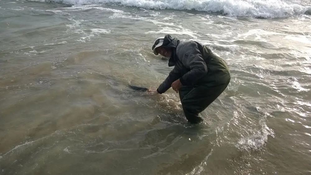 Pêche Rando Bar, pêche depuis le littoral