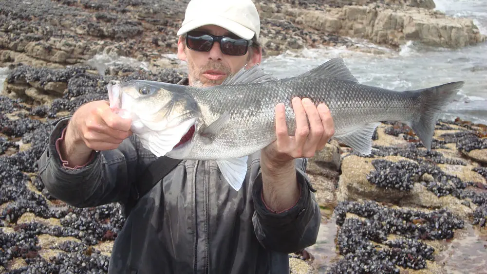 Pêche Rando Bar, pêche depuis le littoral