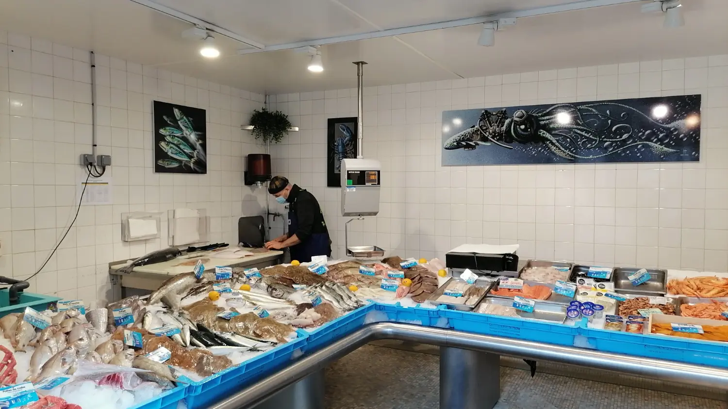 Pêcherie de l'Odet