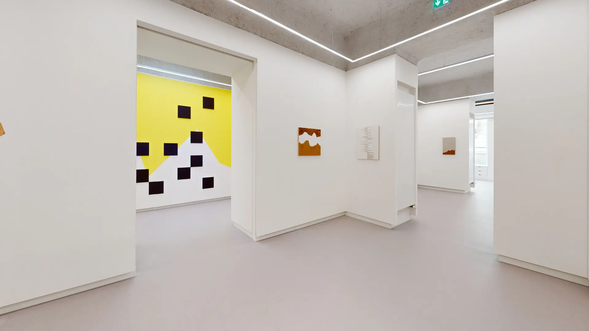 Olivier Petiteau, exposition Grenouilles et Champignons, Galerie Oniris 2024